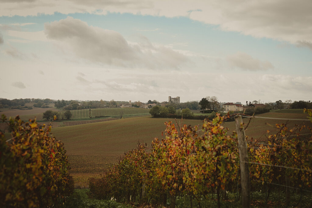 Domaine de Bazin vue sur le château de Mansencôme.