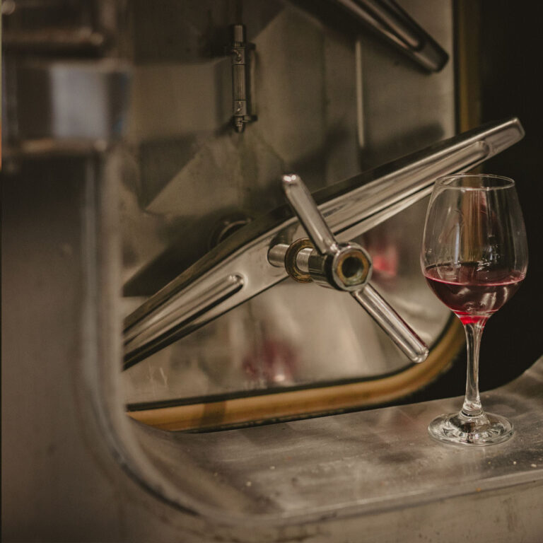 Aménagement du Domaine de Bazin au coeur des côtes de gascogne, découvrez nos cuves, et dégustez notre cuvée rouge.