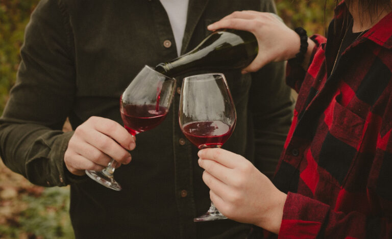 Verres de vins rouges du Domaine de Bazin en dégustation au cœur des vignes du Gers