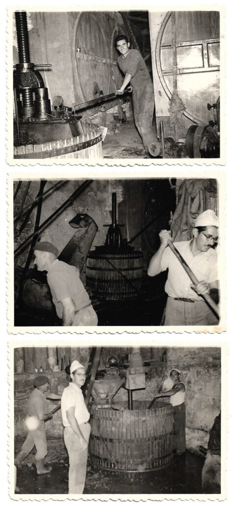 Domaine de Bazin, photos de famille à Mansemcôme.